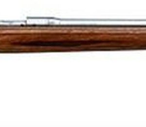 Savage Model 12 BVSS .223 Rem Rifle Review