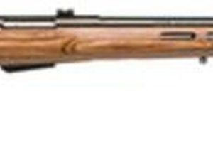 Savage Model 25 Lightweight Varminter T .223 Rifle