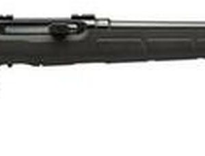 Savage A17 .17HMR Semi-Auto Rifle 22" Barrel