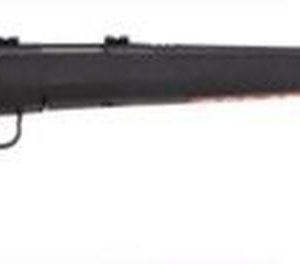 Savage B.Mag .17 WSM Rifle | 22" Barrel, 8-Round Mag