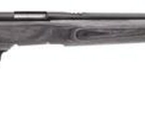 Savage B. Mag 17 WSM Blue/Laminate Heavy Barrel Rifle