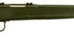 Savage B.Mag 17 WSM Rifle | Long-Range Varmint