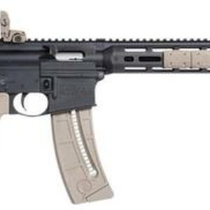 Smith & Wesson M&P15-22 Sport .22 LR Rifle Review