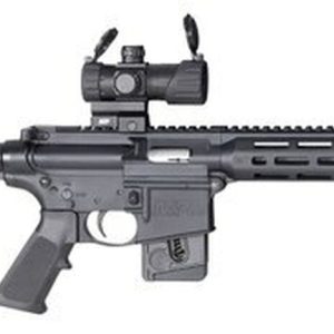 Smith & Wesson M&P15-22 Sport Optic Ready .22LR