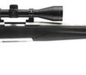 Browning X-Bolt Stainless Stalker .22-250Rem Rifle