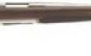 Browning X-Bolt Stainless Hunter 30-06 Rifle