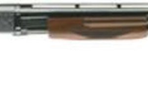 Browning BPS 12 Ga 30" Walnut Shotgun | Firearms-Missouri