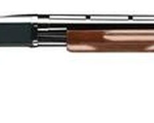 Browning BPS Pump 16 Gauge Walnut Shotgun