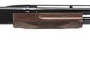 Browning BPS Pump 20ga 24" Wood Blued Shotgun