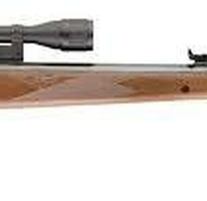 Umarex RWS Model 350 Magnum Combo Air Rifle