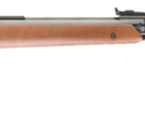 Umarex RWS M34 .22 Pellet Air Rifle Review