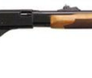 Remington 572 BDL Fieldmaster Pump .22 Rifle