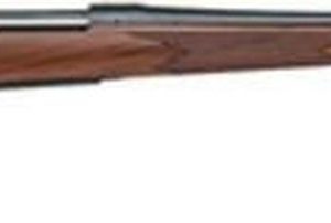 Remington 700 CDL Bolt .243 Win 24" Walnut Stock