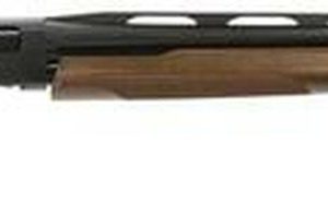 Winchester SXP Trap Pump 12ga 30" Walnut Stock