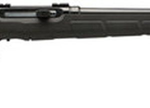 Savage A17 HM2 17 Hornady Mach 2 Rifle | 20" Barrel