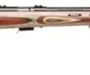 Savage Model 93R17 BRJ 17 HMR Rifle Review