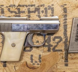 Raven Arms MP25 25 ACP Police Trade-In Pistol