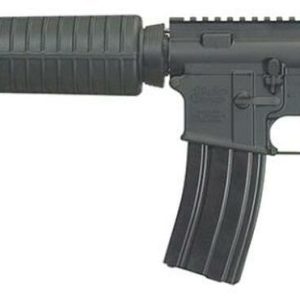 Windham Weaponry AR-15 Bounty Hunter .223/5.56 Rifle