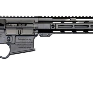 2nd Amendment 2A-15 AR-15 5.56/.223 Rifle