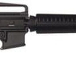 Bushmaster A3 Target Rifle 20, 30 Rd Mag | Precision AR