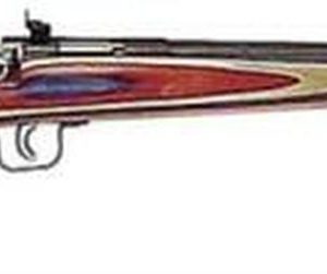 Keystone Crickett 22LR Red White Blue Laminate Rifle