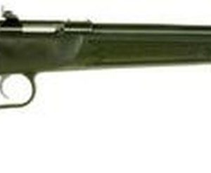 Keystone Crickett 22 Magnum Rifle - 16" Synthetic Stock