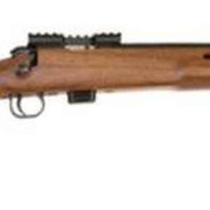 Benjamin 722 Varmint 22LR Thumbhole Stock Rifle