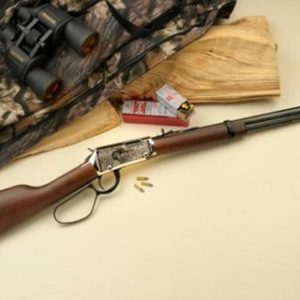 Henry Monument Valley Edition Rifle .22LR 20" Octagon