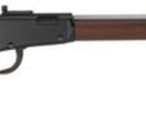 Henry Small Game Rifle .22 Mag Octagon Barrel - Magazines | Missouri Gun Shop