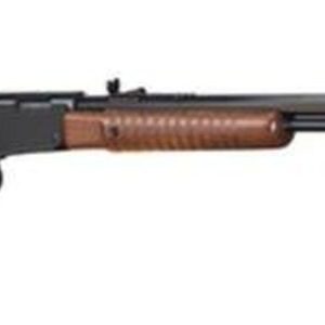 Henry Pump 22LR 20" Octagon Barrel Walnut Stock