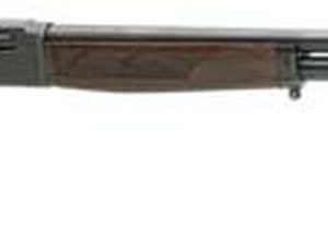 Henry Lever Action .410 Shotgun 24" Walnut Stock