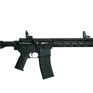 TIPPMAN ARMS M4-22 ELITE BUG OUT Rifle