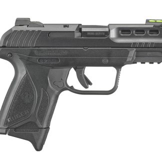 SECURITY 380 Handguns Semi Auto | .380 ACP 15-Round