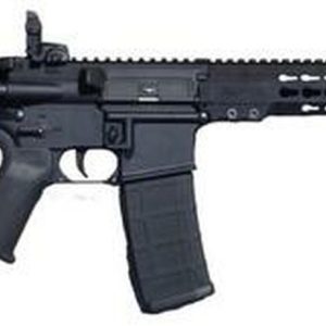 ArmaLite M-15 Tactical Rifle .223/5.56 16"