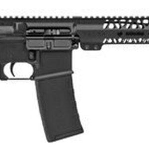 Talon Armament Gryphon 300 AAC Blackout Rifle