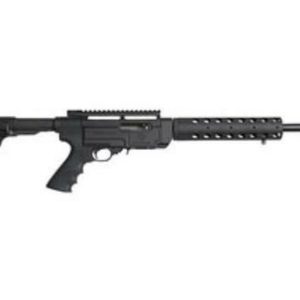Ruger SR22 .22LR Rifle w/ Collapsible Stock