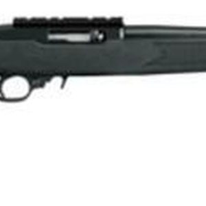 Ruger 10/22 Tactical SA .22 LR Rifle Review
