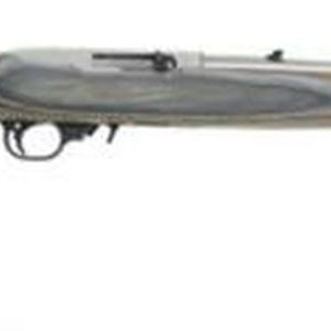 Ruger 10/22 Carbine .22LR Laminate Stock