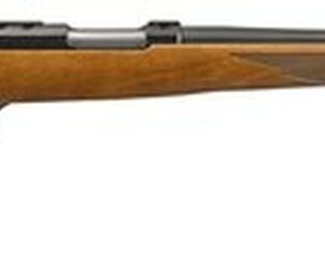 Ruger 77/22 .22 Hornet Rifle | 20" Blued