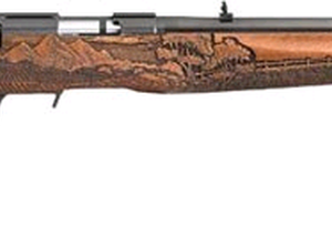 Ruger American Farmer 22WMR Bolt Action Rifle - Handguns | Missouri Gun Shop