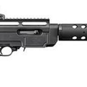 Ruger SR22 RDS Rifle 22LR with Rapid Deployment Sights