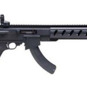 Ruger 10/22 ATI AR-22, 22LR, 25rd, 16″, Talo Exclusive