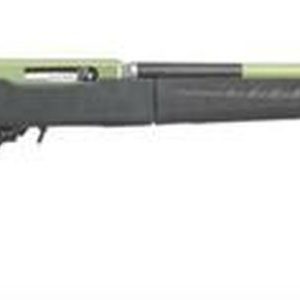 Ruger 10/22 Takedown Lite 22LR 16" Barrel