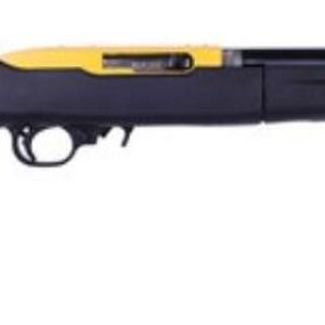 Ruger 10/22 Takedown Lite 22LR Rifle Review