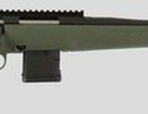 Ruger American Predator .204 Ruger Rifle | 22" Barrel