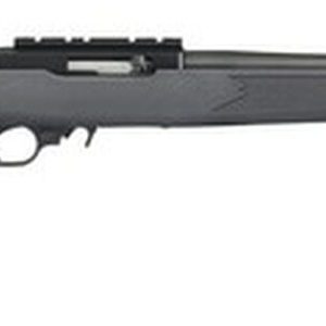Ruger 10/22 Carbine .22 LR - Charcoal Stock
