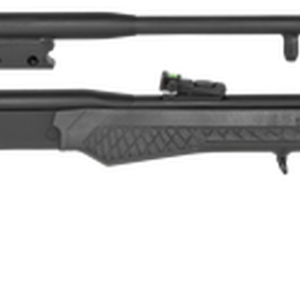 Rossi Tuffy Matched Pair .22 LR/.410 Ga Survival Firearm