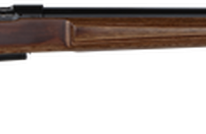 CZ 457 AT-One Varmint .17 HMR Rifle | Adjustable Stock