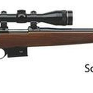 CZ 527 American .17 Hornet Rifle | Firearms Missouri
