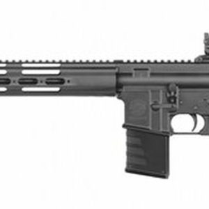 Kriss USA Defiance DMK22C .22 LR Rifle Review